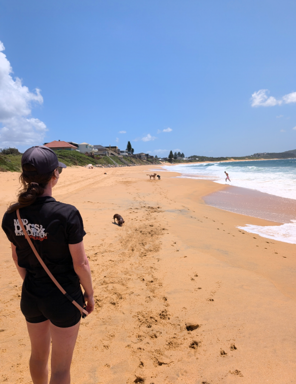 Terrigal Beach