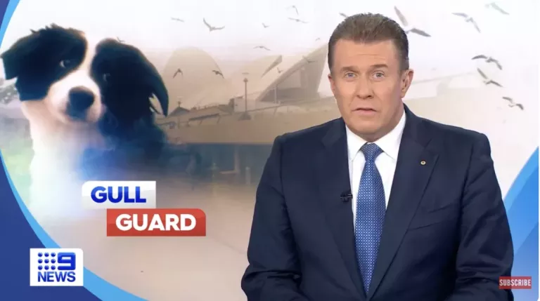 Channel 9 News