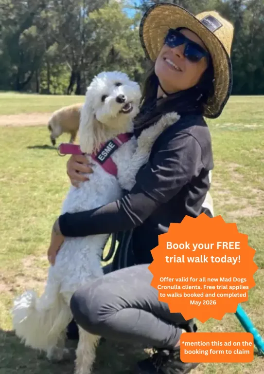 .Book your dog a free walk today in the Sutherland Shire